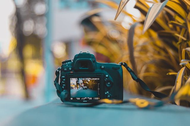 digital-camera-placed-near-plants